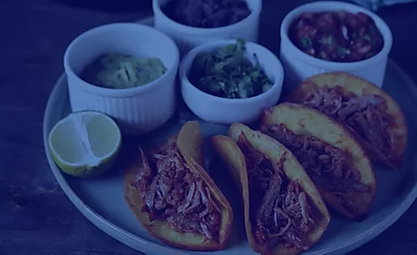 Alimentação